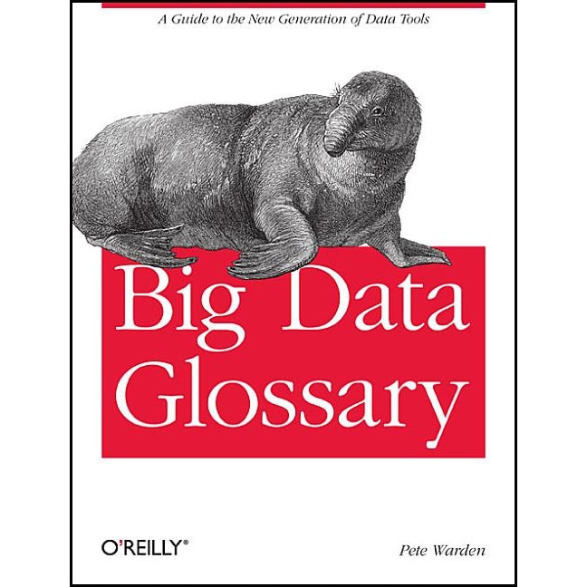 Big Data Glossary de Pete Warden