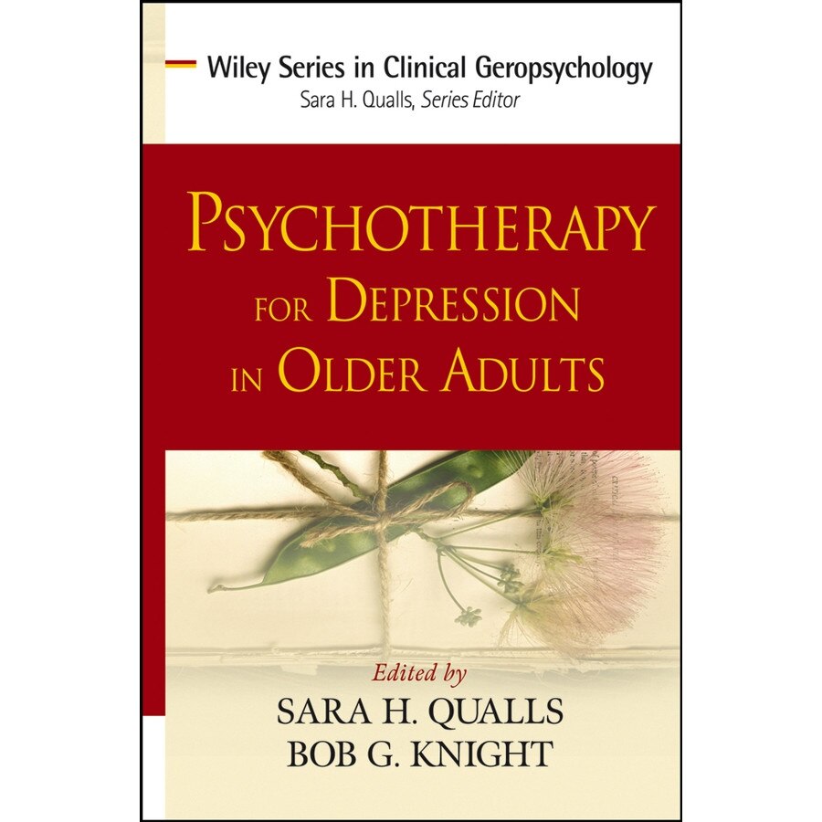 Psychotherapy for Depression in Older Adults de Sara Honn Qualls