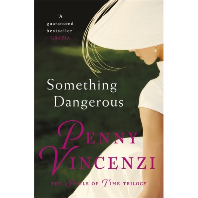 Something Dangerous de Penny Vincenzi