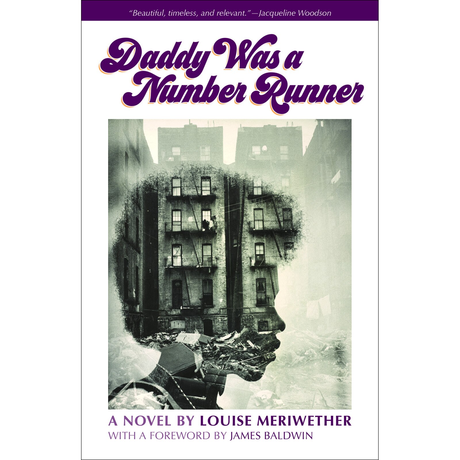 Daddy Was a Number Runner de Louise Meriwether