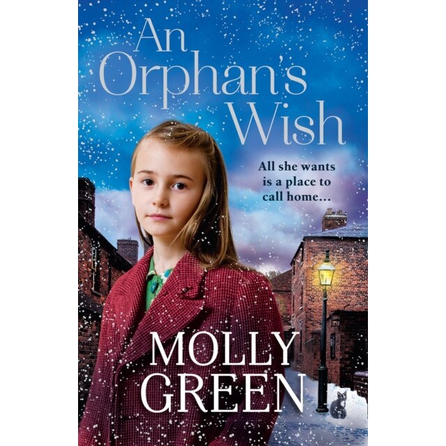 An Orphan's Wish de Molly Green