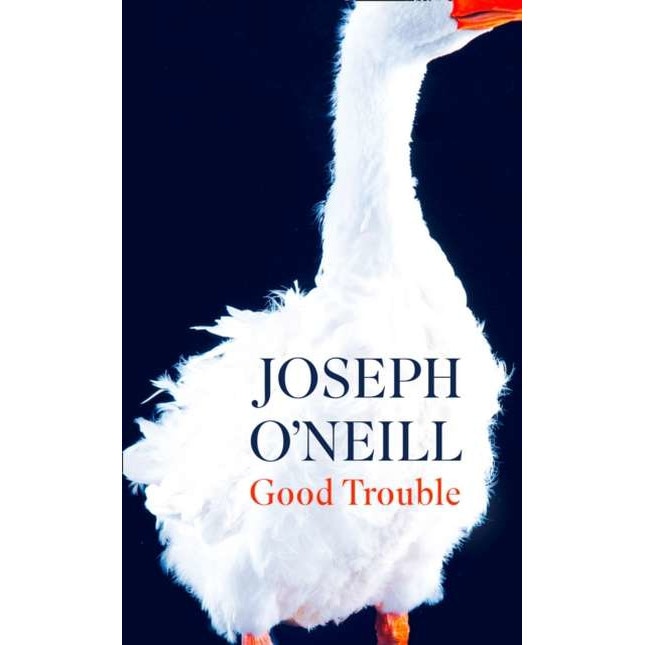 Good Trouble de Joseph O'Neill