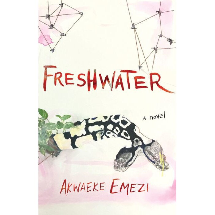 Freshwater de Akwaeke Emezi