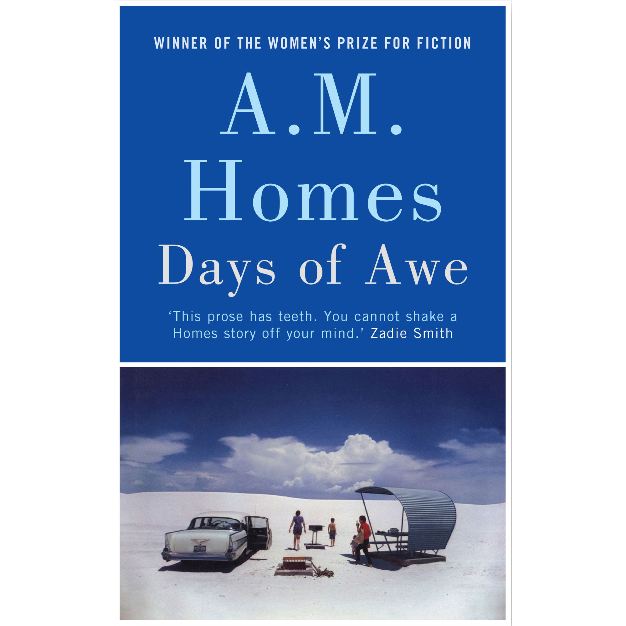 Days of Awe de A.M. (Y) Homes