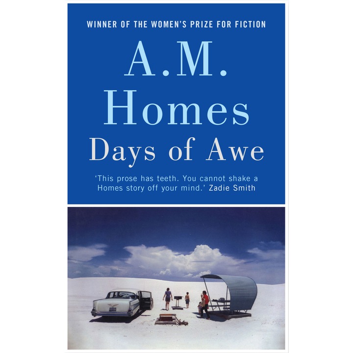 Homes, A: Days of Awe de A.M. (Y) Homes