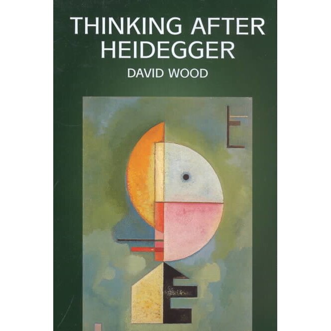 Thinking After Heidegger de David Wood