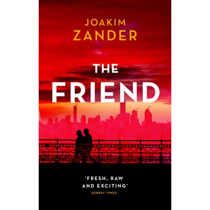 Zander, J: The Friend de Joakim Zander