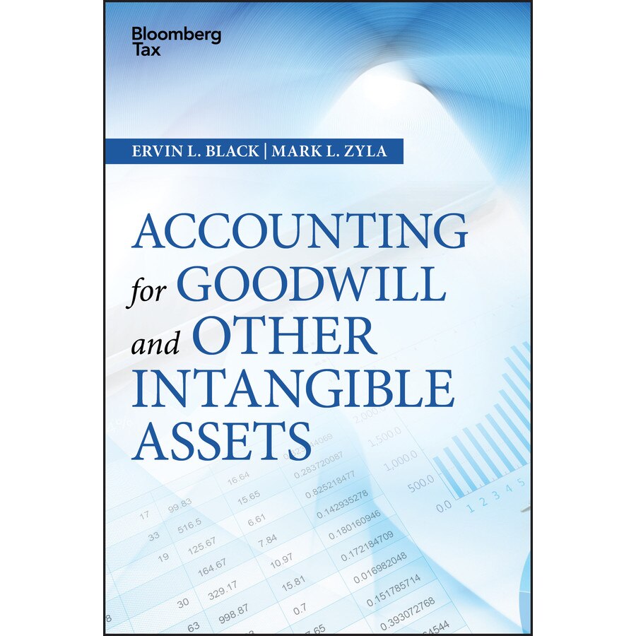 Accounting for Goodwill and Other Intangible Assets de Ervin L. Black