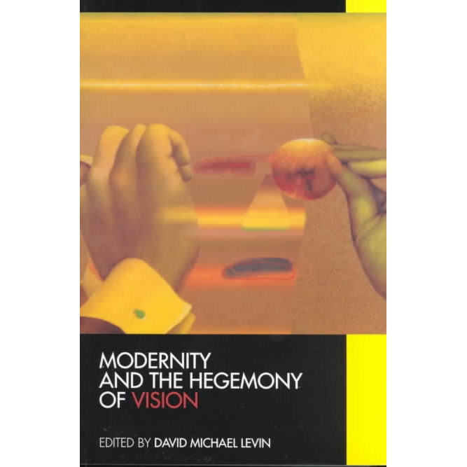 Modernity & the Hegemony of Vision (Paper) de David Michael Levin