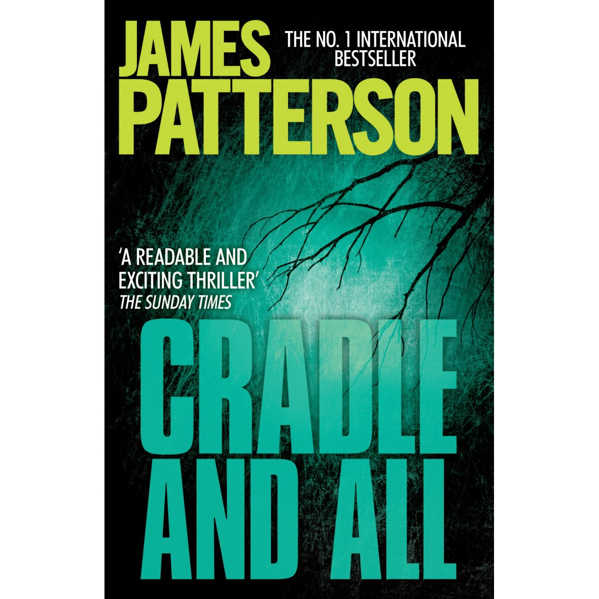 Cradle and All de James Patterson