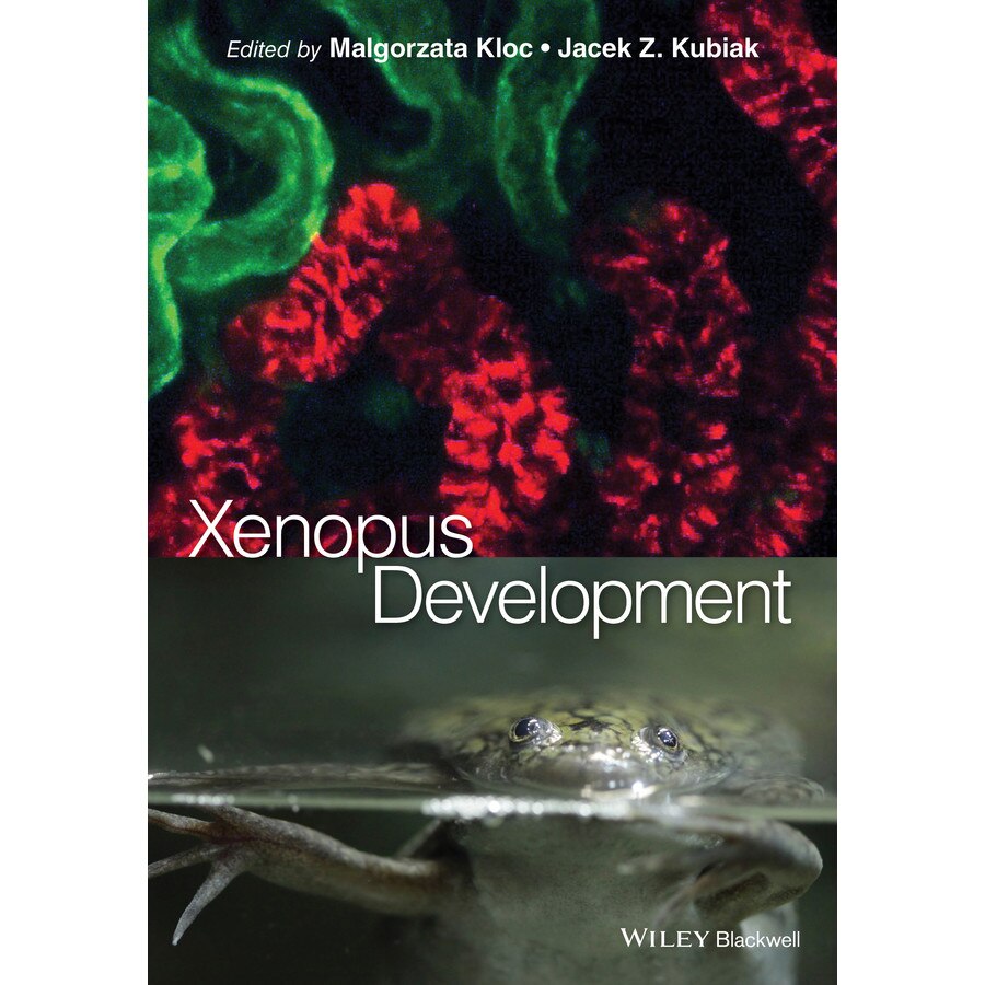 Xenopus Development de Malgorzata Kloc