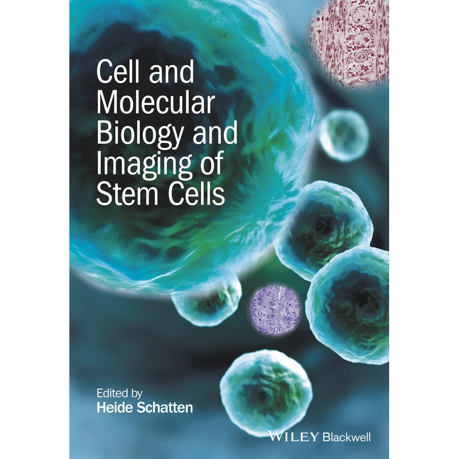Cell and Molecular Biology and Imaging of Stem Cells de Heide Schatten
