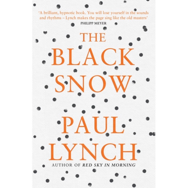 The Black Snow de Paul Lynch