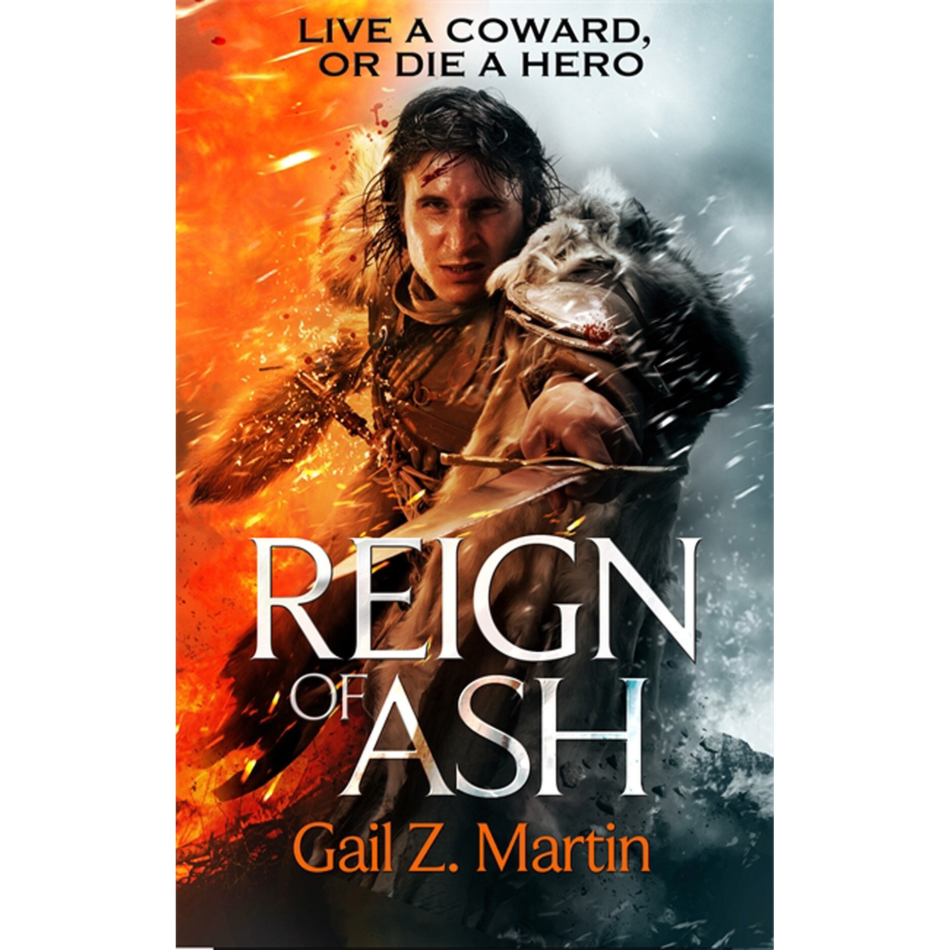 Reign of Ash de Gail Z. Martin