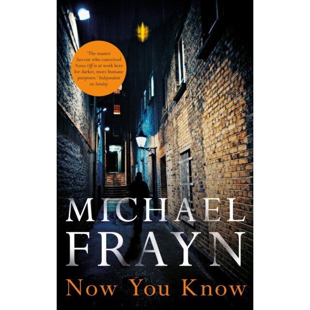 Now You Know de Michael Frayn