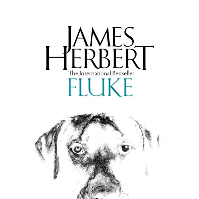 Fluke de James Herbert