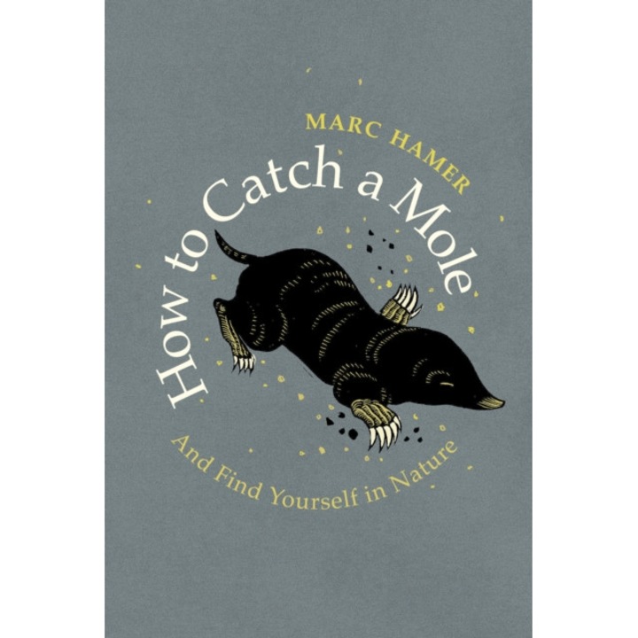 How to Catch a Mole de Marc Hamer
