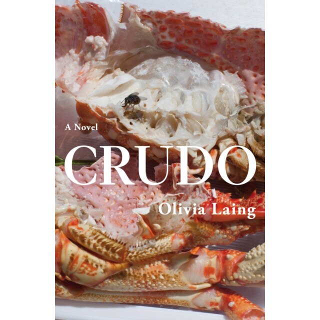 Crudo de Olivia Laing