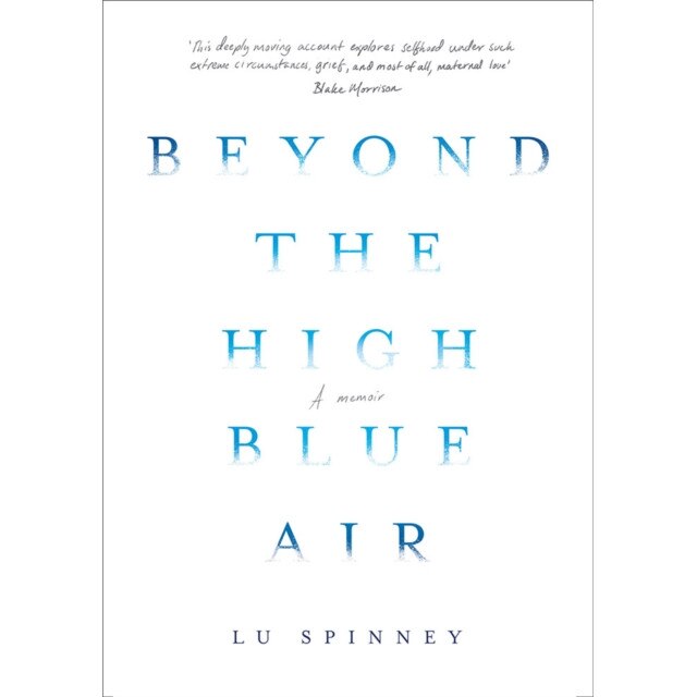 Beyond the High Blue Air de Lu (Author) Spinney