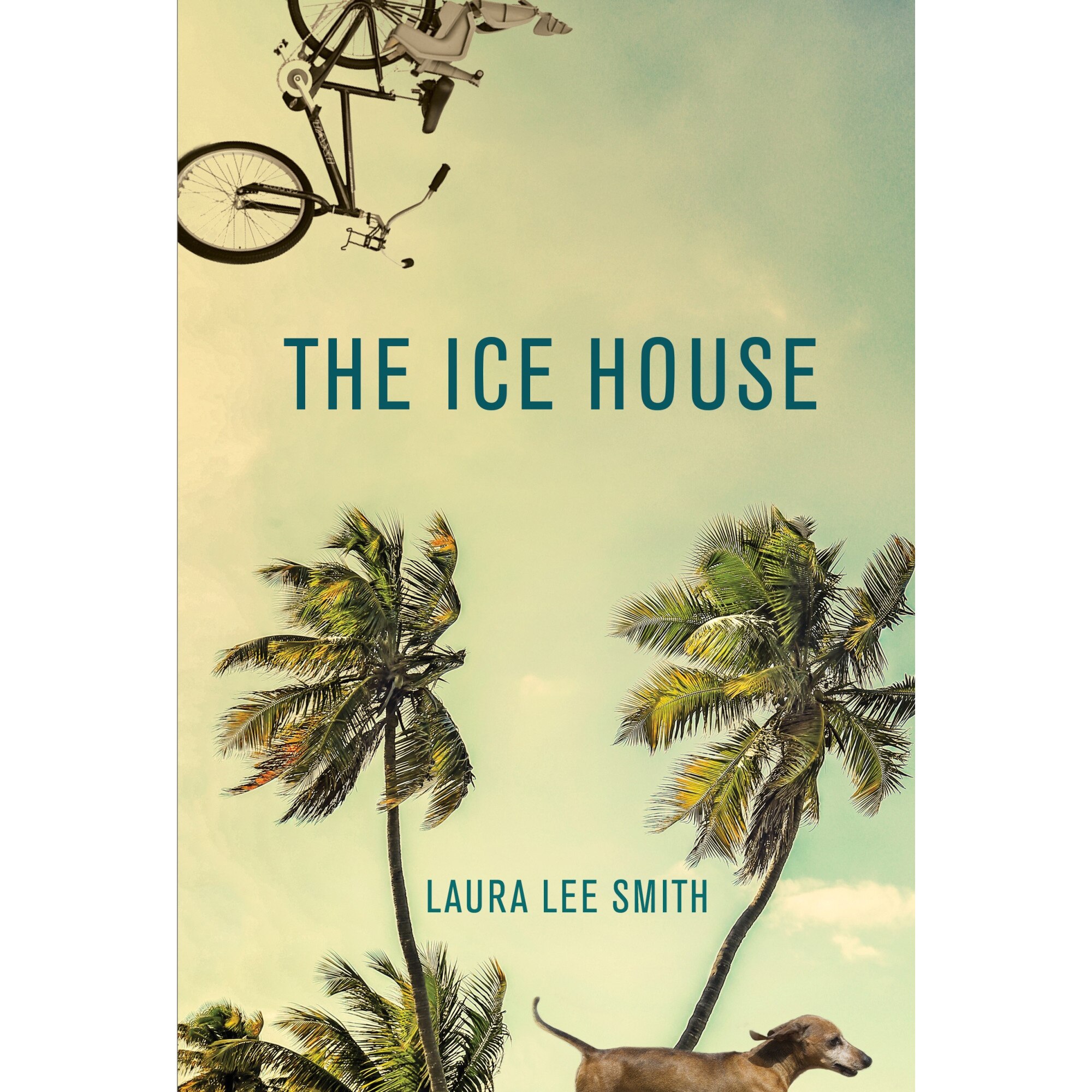 The Ice House de Laura Lee Smith