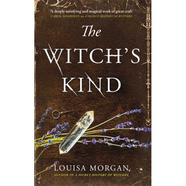 The Witch's Kind de Louisa Morgan