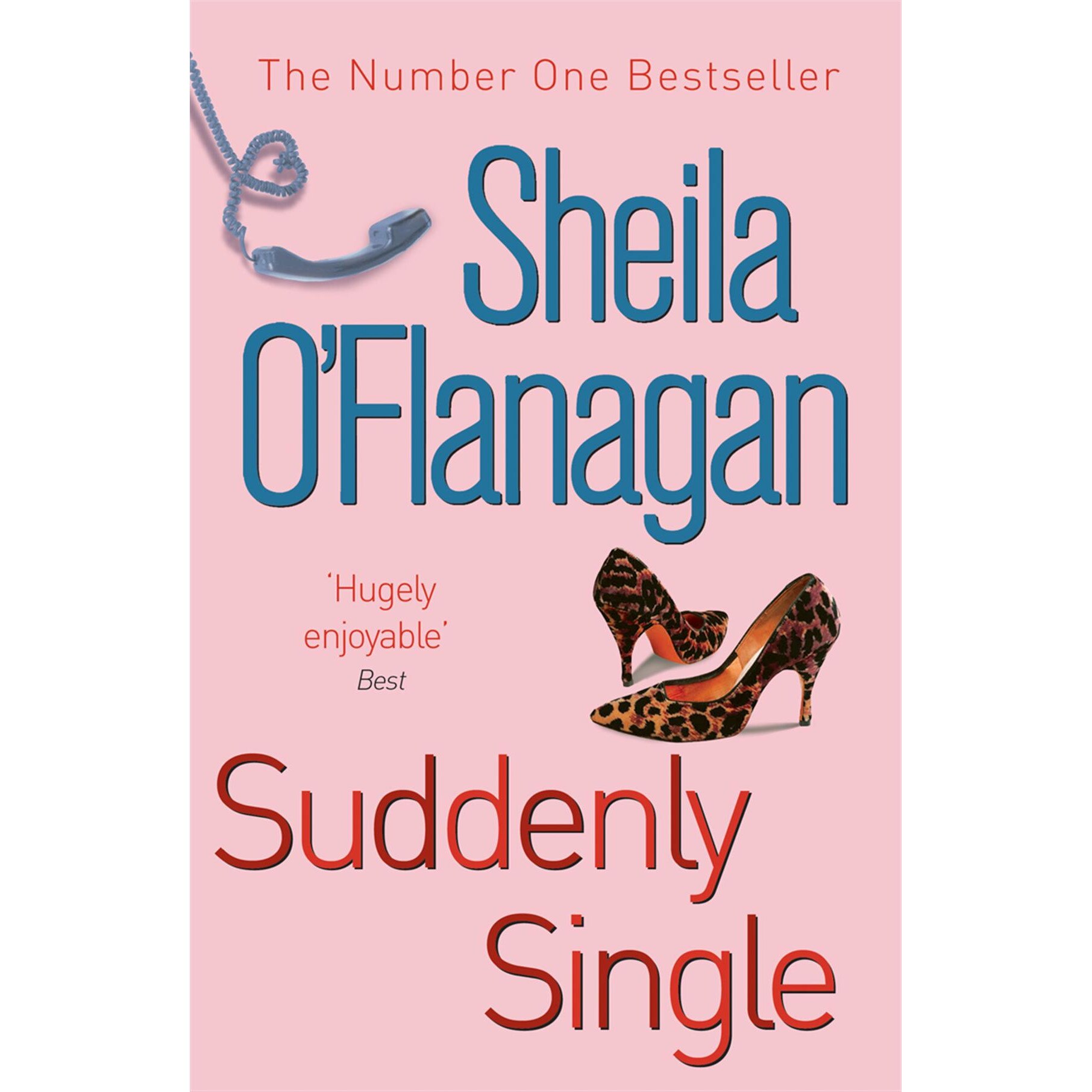 Suddenly Single de Sheila O'Flanagan