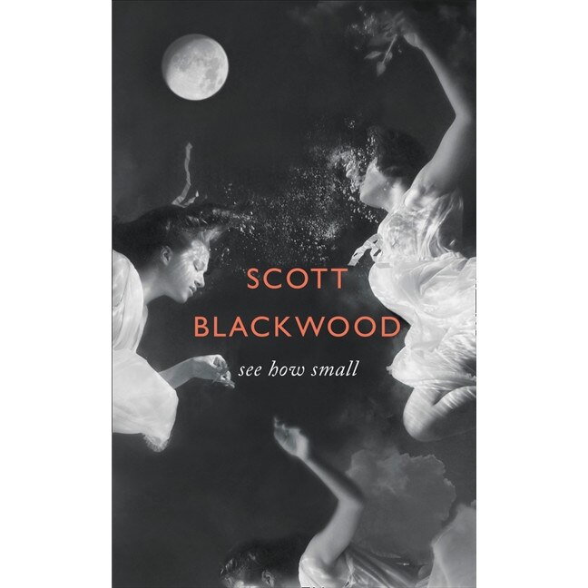See How Small de Scott Blackwood