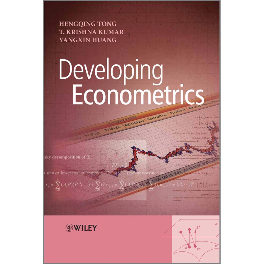 Developing Econometrics de Hengqing Tong
