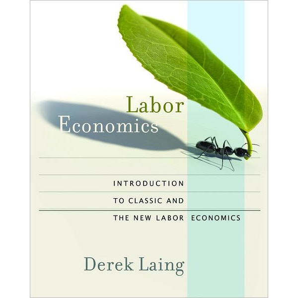 Labor Economics /-/ Introduction to Classic and the New Labor Economics de Derek Laing