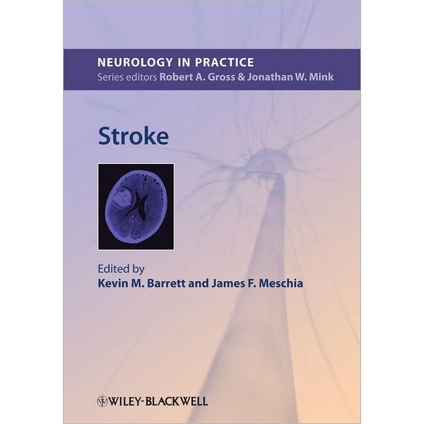 Stroke de Kevin M. Barrett