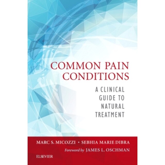 Common Pain Conditions de Marc S. Micozzi