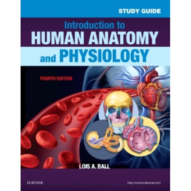 Study Guide for Introduction to Human Anatomy and Physiology de Lois A Ball