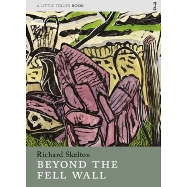 Beyond the Fell Wall de Richard Skelton