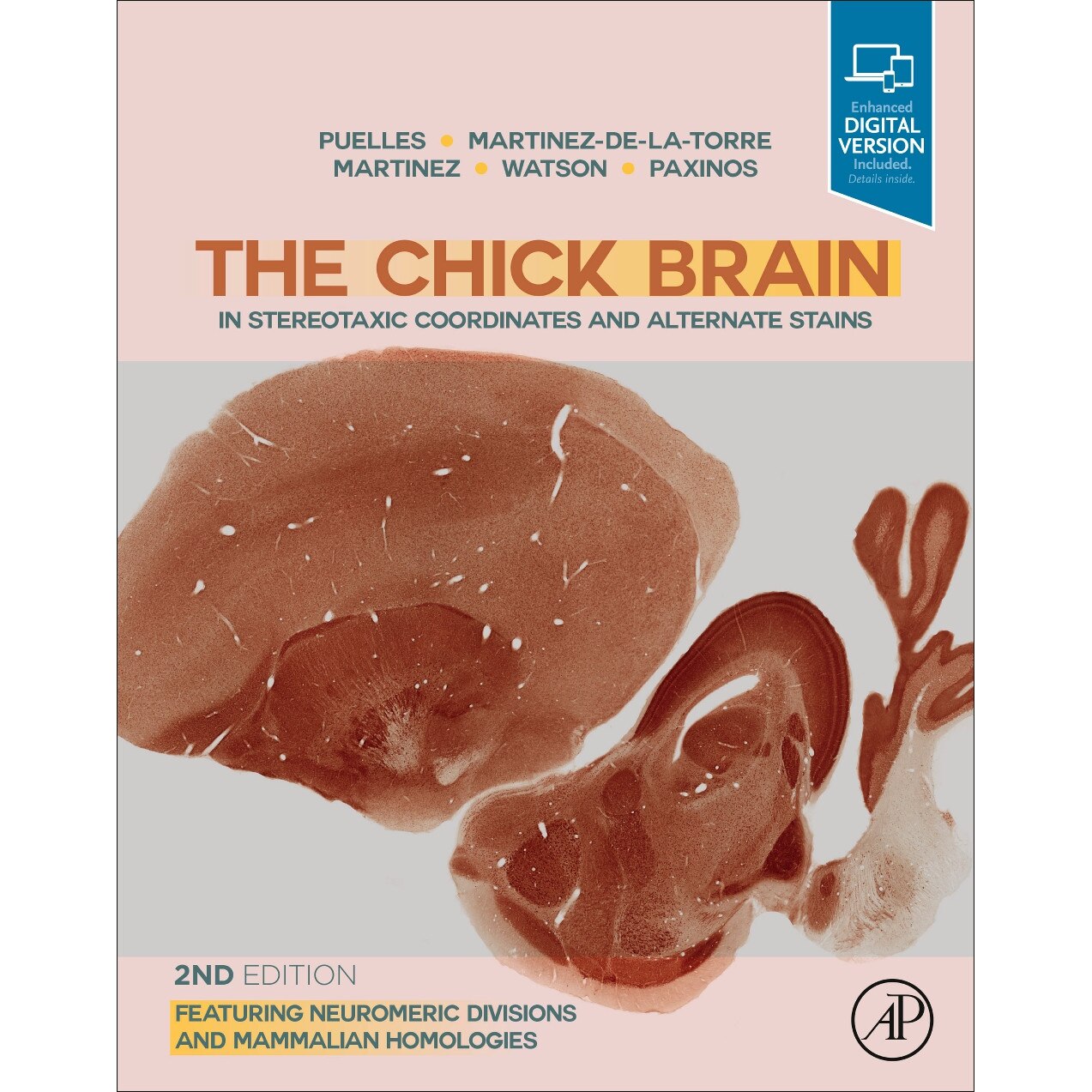 The Chick Brain in Stereotaxic Coordinates and Alternate Stains de Luis Puelles