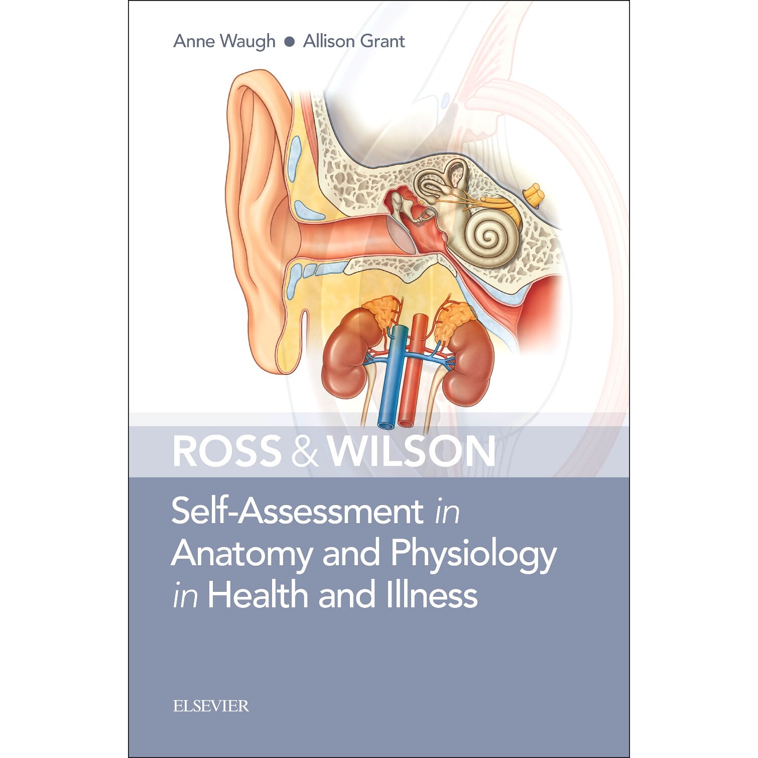 Ross & Wilson Self-Assessment in Anatomy and Physiology in Health and Illness de Anne Waugh