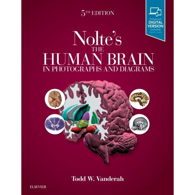 Nolte's The Human Brain in Photographs and Diagrams de Todd Vanderah
