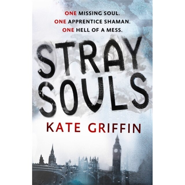 Stray Souls de Kate Griffin
