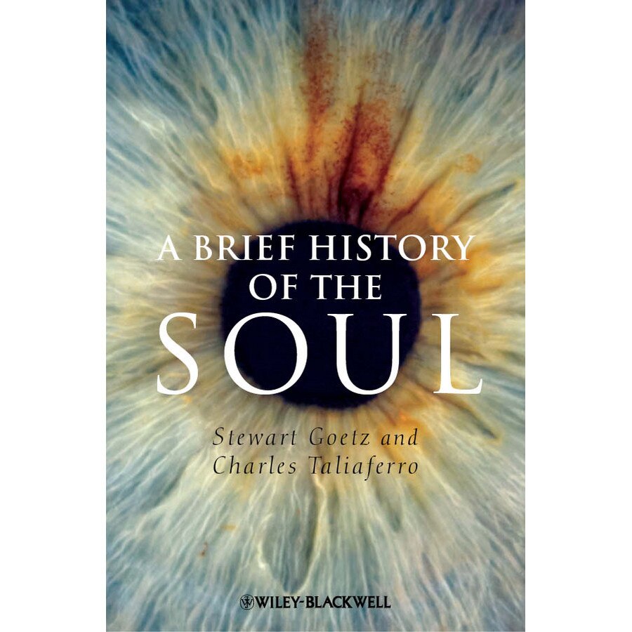 A Brief History of the Soul de Stewart Goetz