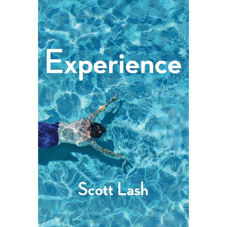 Experience de Scott Lash