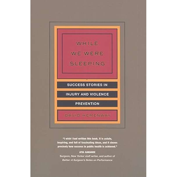 While We Were Sleeping /-/ Success Stories in Injury and Violence Prevention de David Hemenway