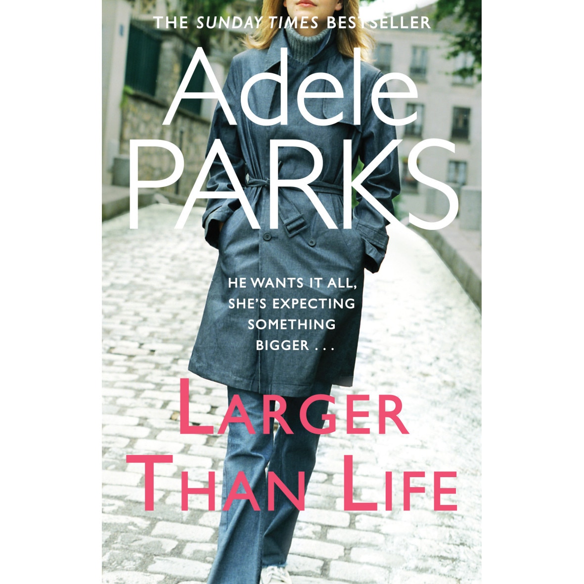 Larger Than Life de Adele Parks
