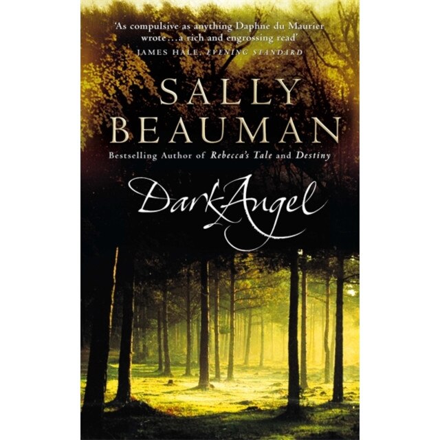 Dark Angel de Sally Beauman
