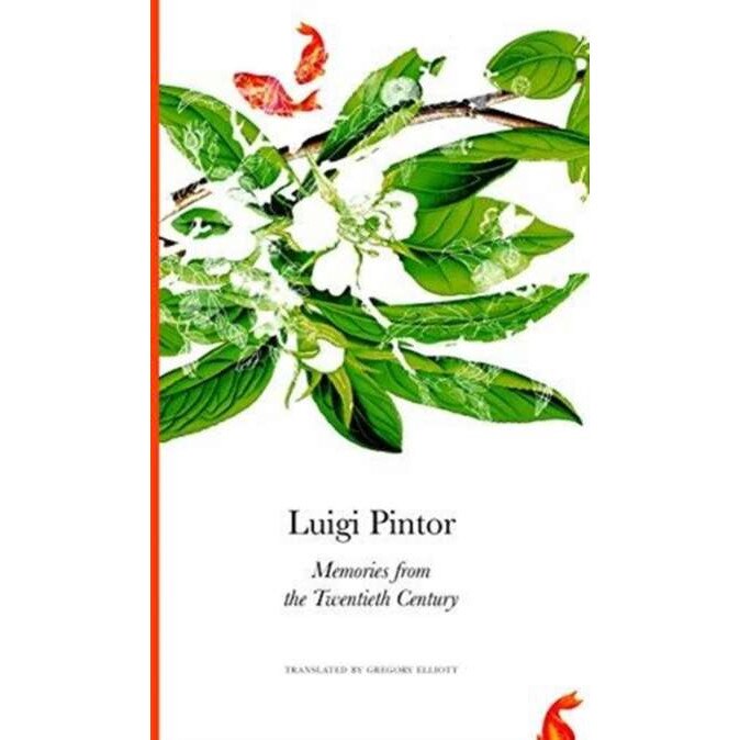 Memories from the Twentieth Century de Luigi Pintor