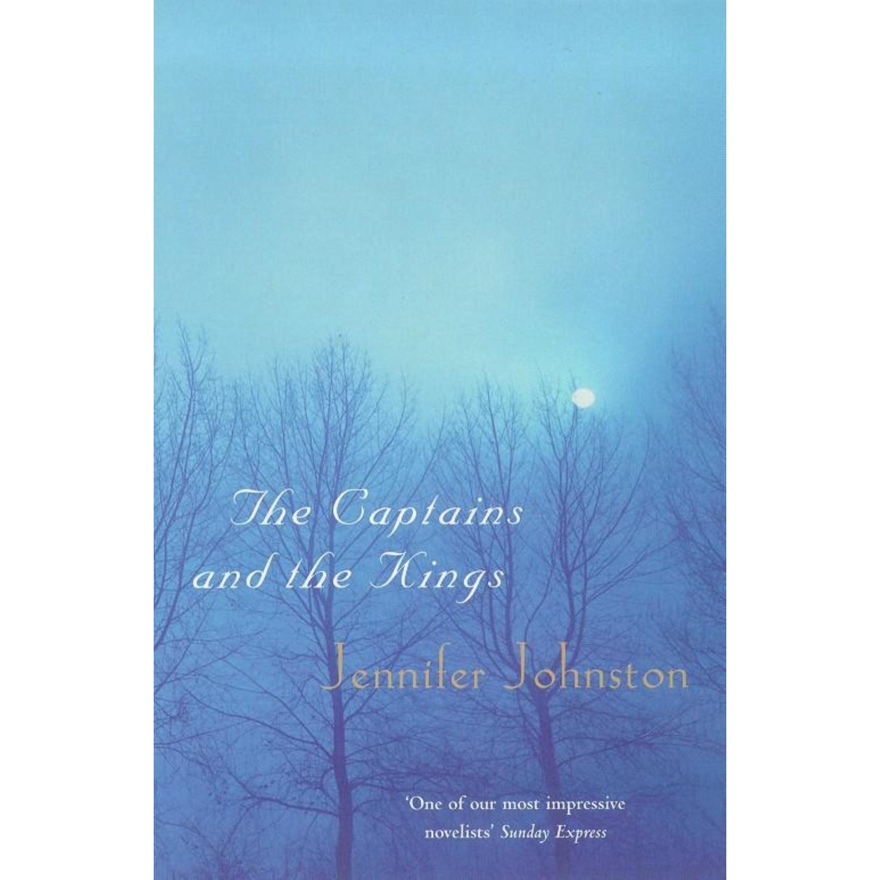 The Captains and the Kings de Jennifer Johnston