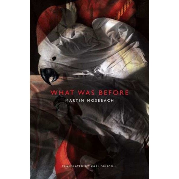 What Was Before de Martin Mosebach
