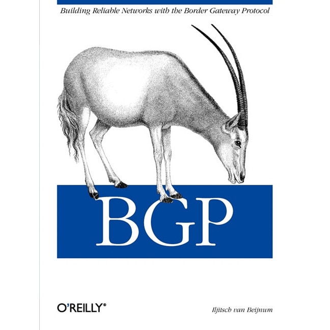 Bgp de Iljitsch Van Beijnum