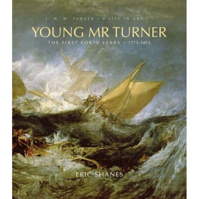 Young Mr. Turner de Eric Shanes