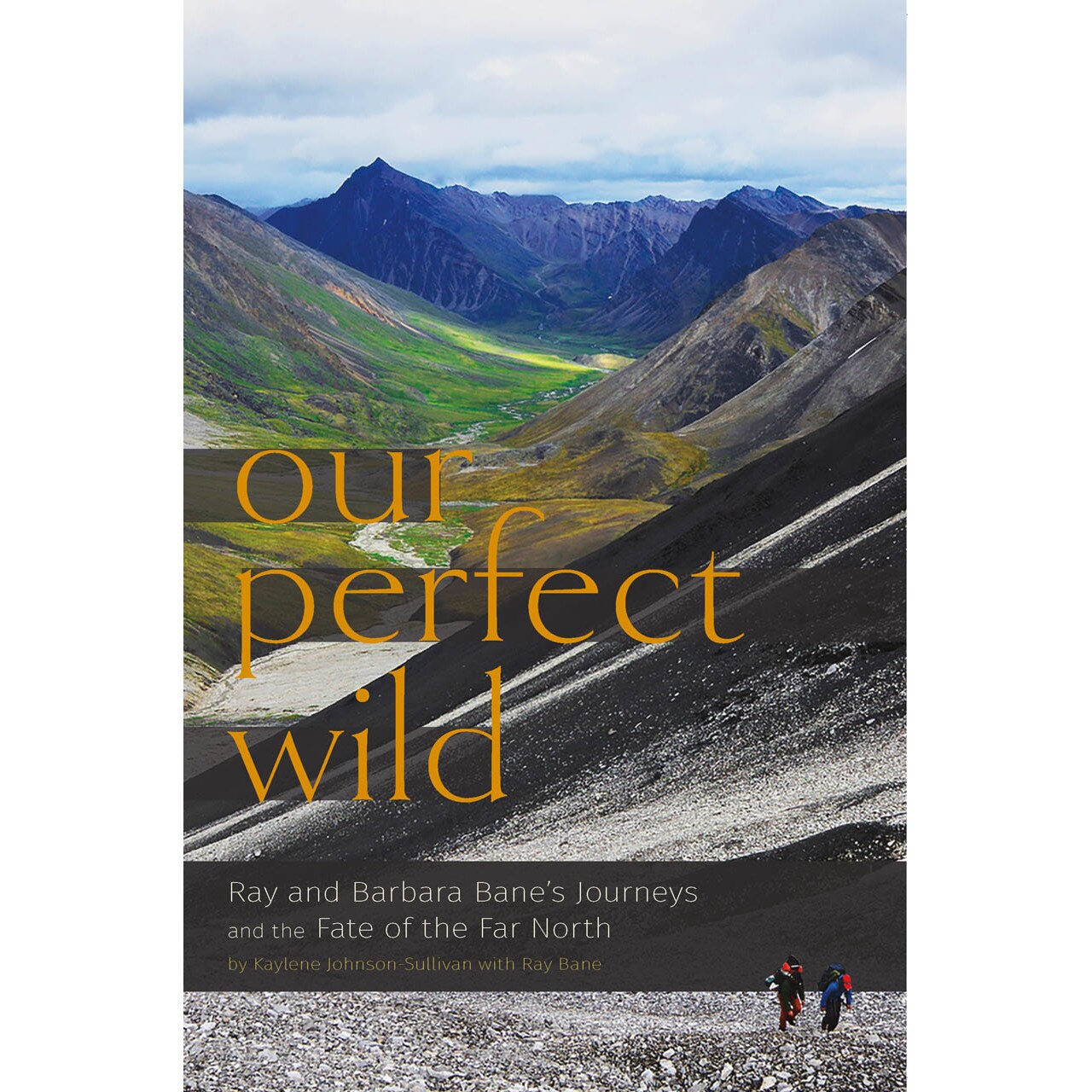 Our Perfect Wild de Kaylene Johnson-Sullivan