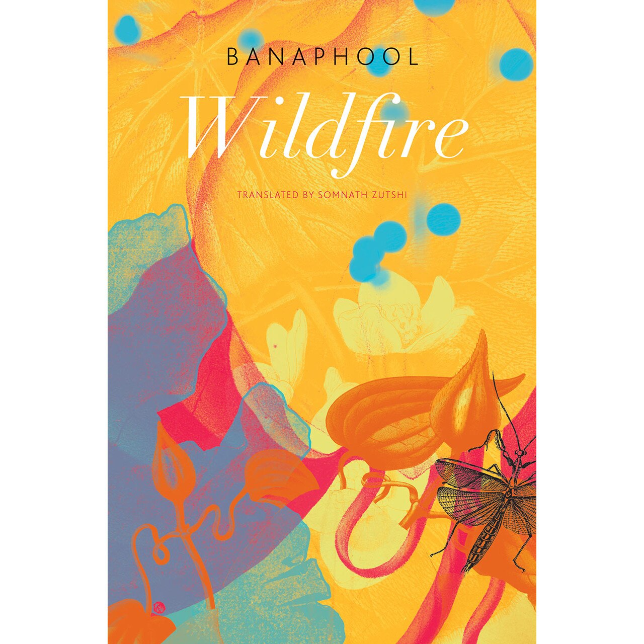 Wildfire de Banaphool