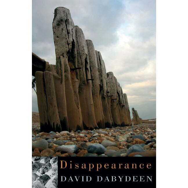 Disappearance de David Dabydeen